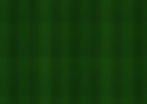 Rasen BG.jpg