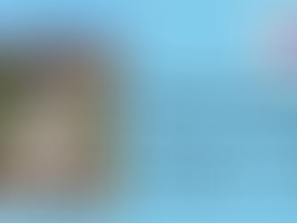 French Language Exchange