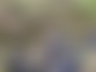 Geography Field Study