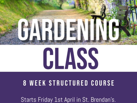 Classes for Parents/Guardians