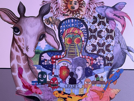 Stunning Artwork Display from Creative Engagement Project