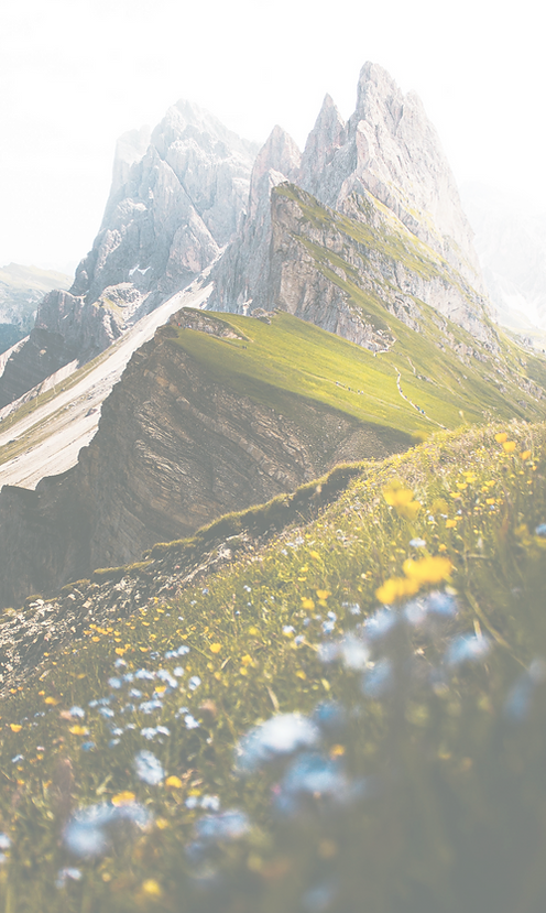 green%2520grass%2520and%2520gray%2520roc