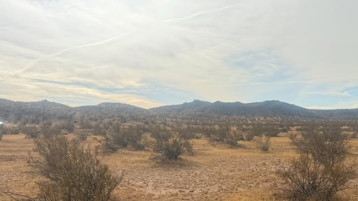 516503092_1305117801204355_3656111067151104441_n.jpg