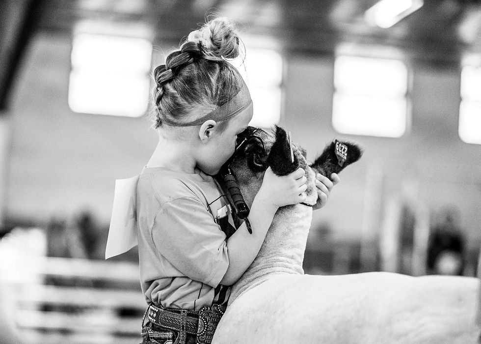 Mak and ewe lamb showing.jpg