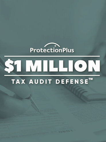 Audit Defense