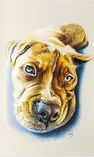 To commission for a beautifully personalised pencil artwork. Please get in touch through the 'Contact' page.