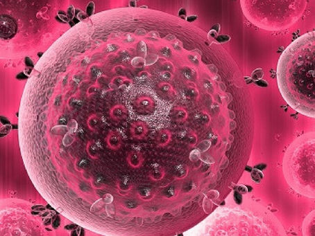 HVP - Papiloma Vírus Humano