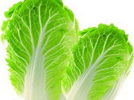 Acelga - Super Alimento , com ações Antitumorais e Antiinflamatória