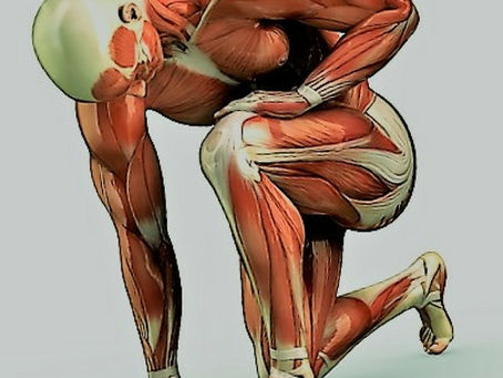 Lesões do esporte - Saiba como Prevenir