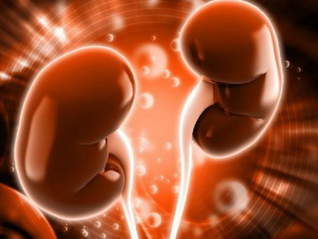 Doença Renal Policistica (DRP)