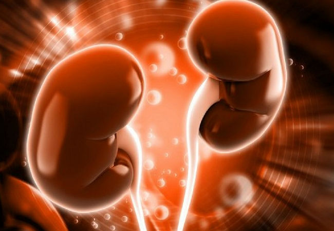 Doença Renal Policistica (DRP)