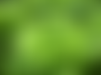 Alface - Auxilia no Emagrecimento e reduz o Indice Glicêmico