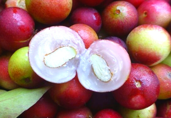 Camu camu