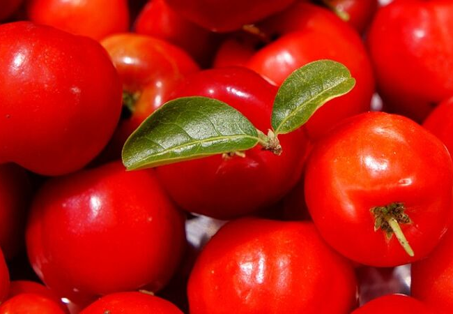 acerola