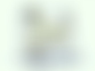 Deficiência de Zinco - Muito importante nas atividades do sistema imune