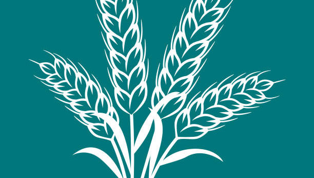 Content Editor: Dr. Urmimala Maiti