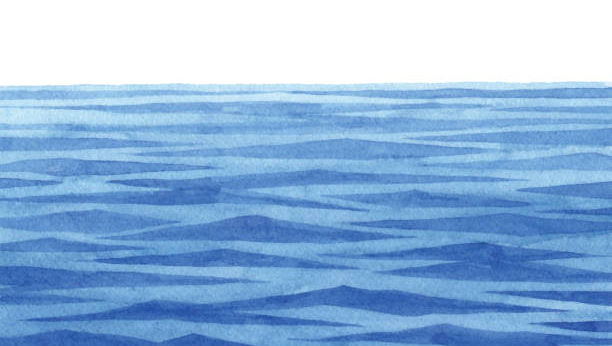 Content Editor: Akhila Nandan