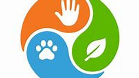 Content Editor: Dr. Urmimala