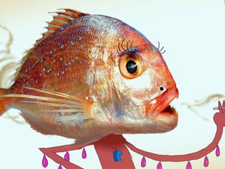 An Introduction to 'Mind Game' (2004)