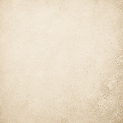Canva Bone.png