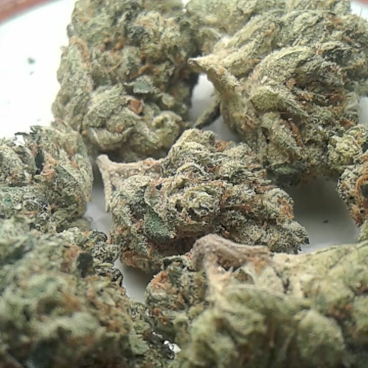 Thumbnail: Sour diesel 