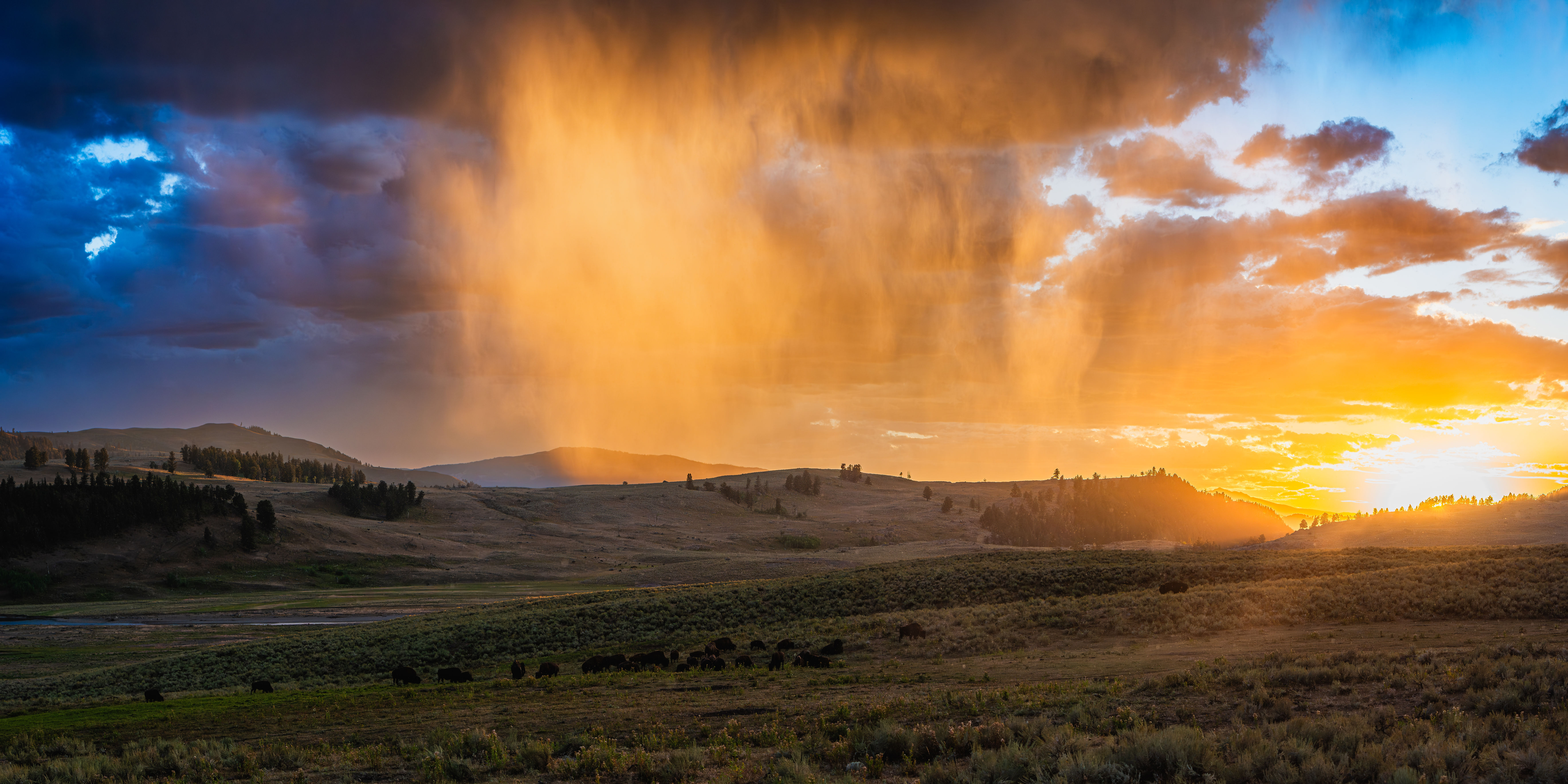 Lamar Valley Sunset Shower