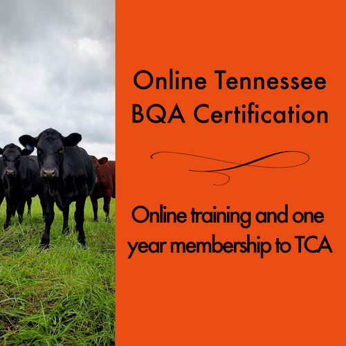 Online Tennessee Beef Quality Assurance Certification TN Cattlemen's Assoc