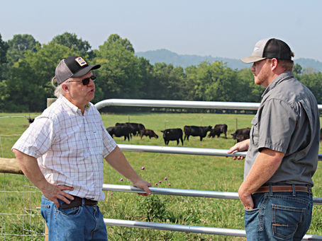 Conservation, Cows, and Crayfish: Working together for the good of all