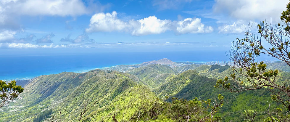 wiliwilinui.jpg