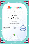 Левин Тимур. Диплом.jpg