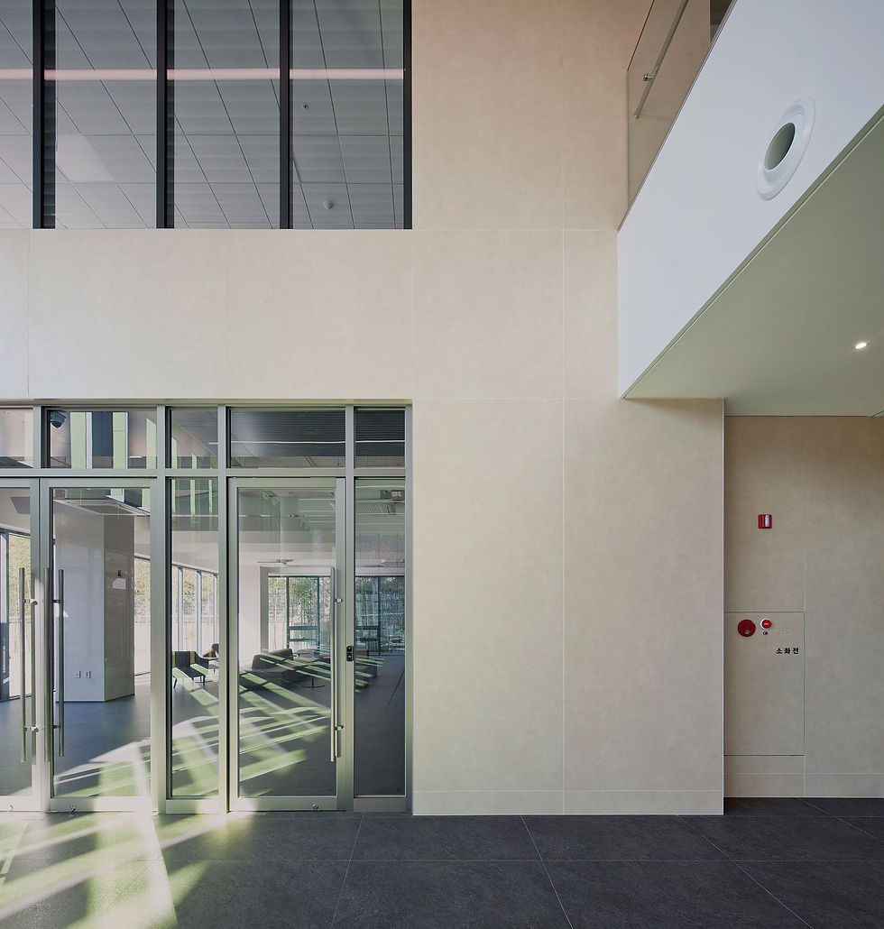 Miniatura: Pietra Di Osso