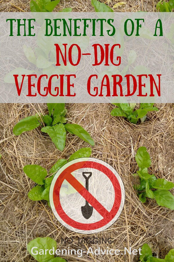 Greener Gardening Meet-Up