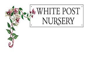 White Post Nursery 2.png