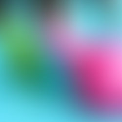 10 Fitness Tips for the New Year