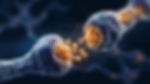 Neurotransmitters-animation-loop