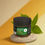 Thumbnail: Erva Full Spectrum CBD Salve | Multiple Scents & Strengths
