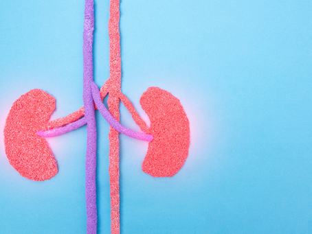 National Kidney Month