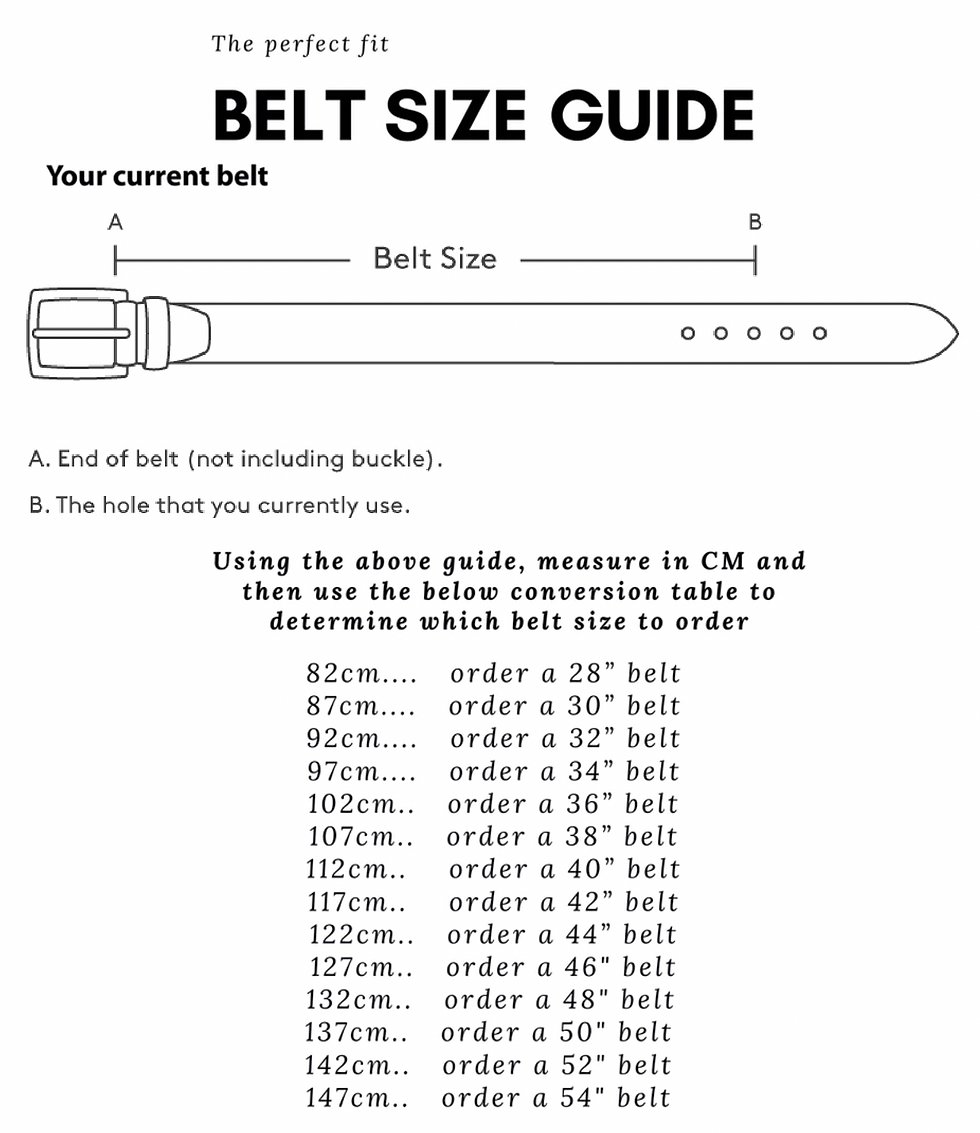 Thumbnail: Reversible Belt