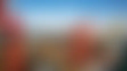 تطوير البنيات المينائية أساس لتحقيق الاندماج الاقتصادي بإفريقيا