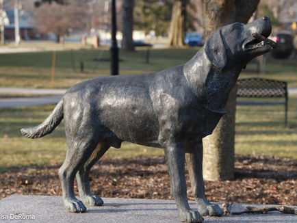 A Diamond in the Ruff: The Legend of Tiberius