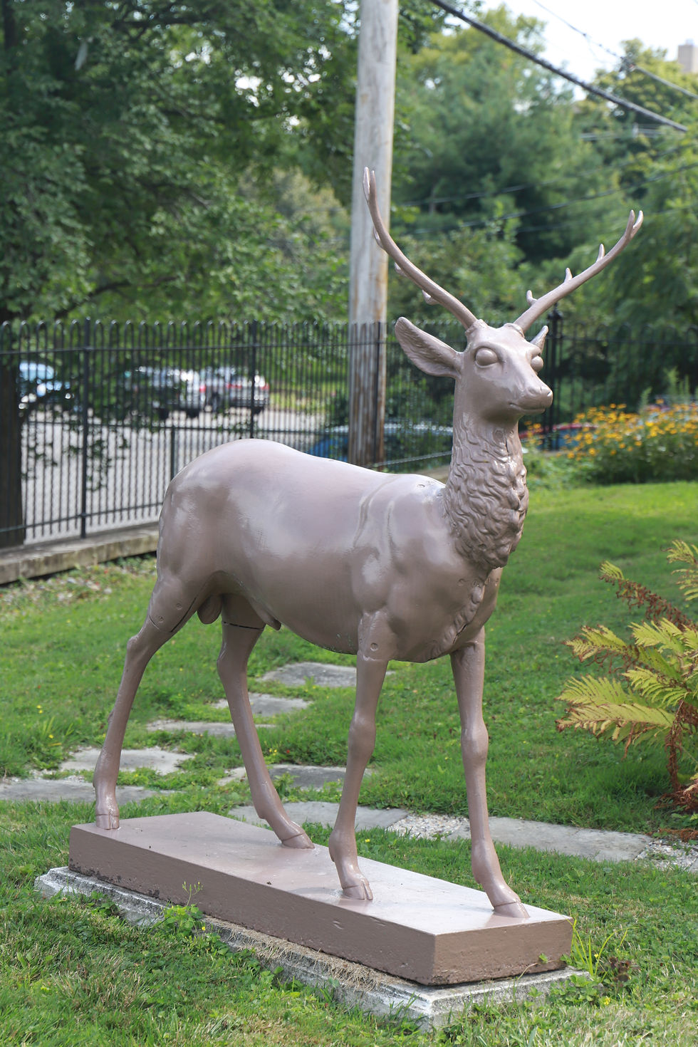 ree