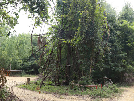 The Decaying Memory on the Lake: Chippewa Lake Park