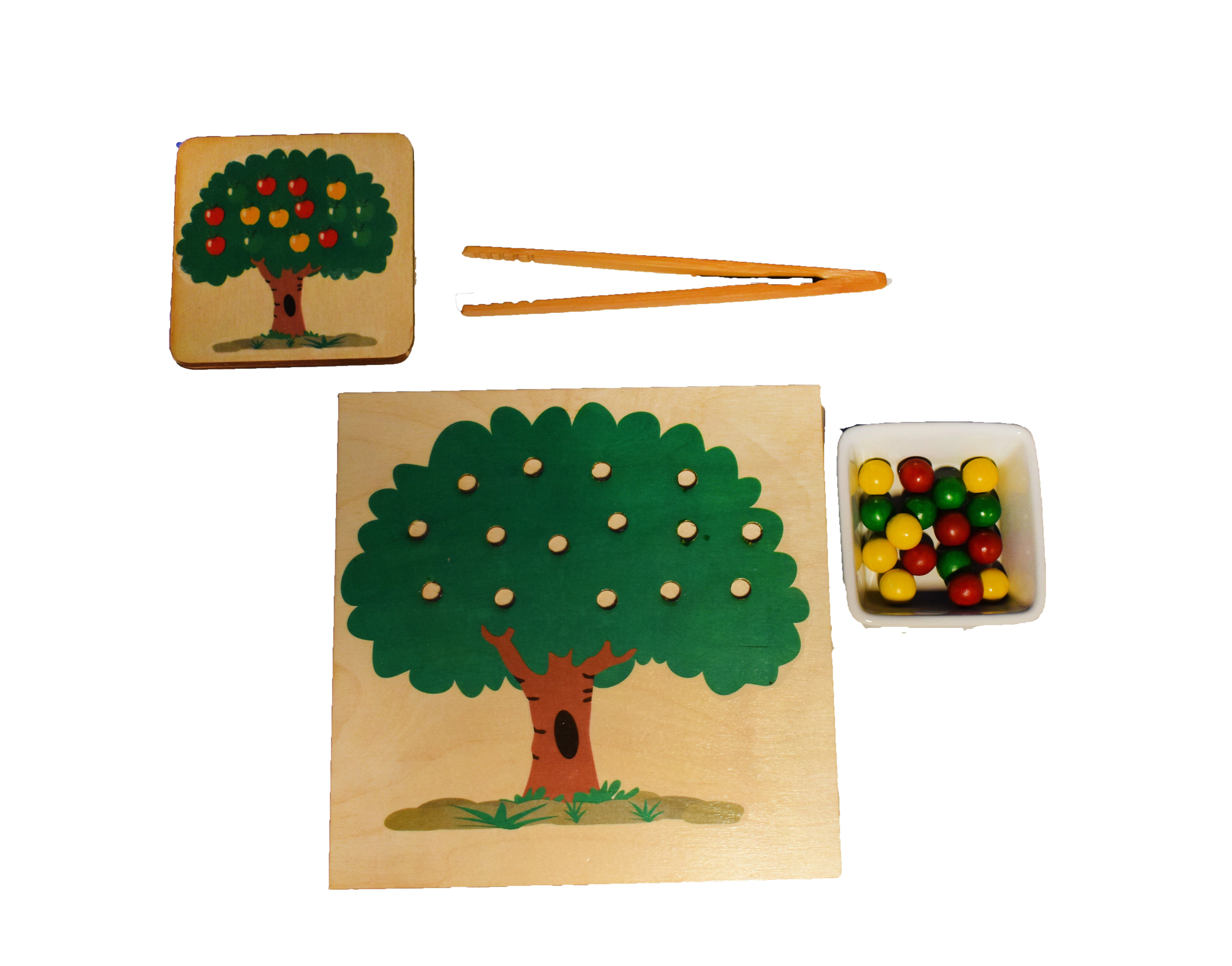 Apple Tree Transferring