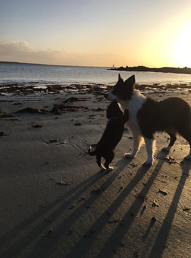 brae am meer.jpg