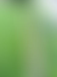 Estabilidad Dimensional en el Cesped Artificial.