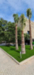 Ciudalcampo.