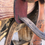 Thumbnail: The Ducker