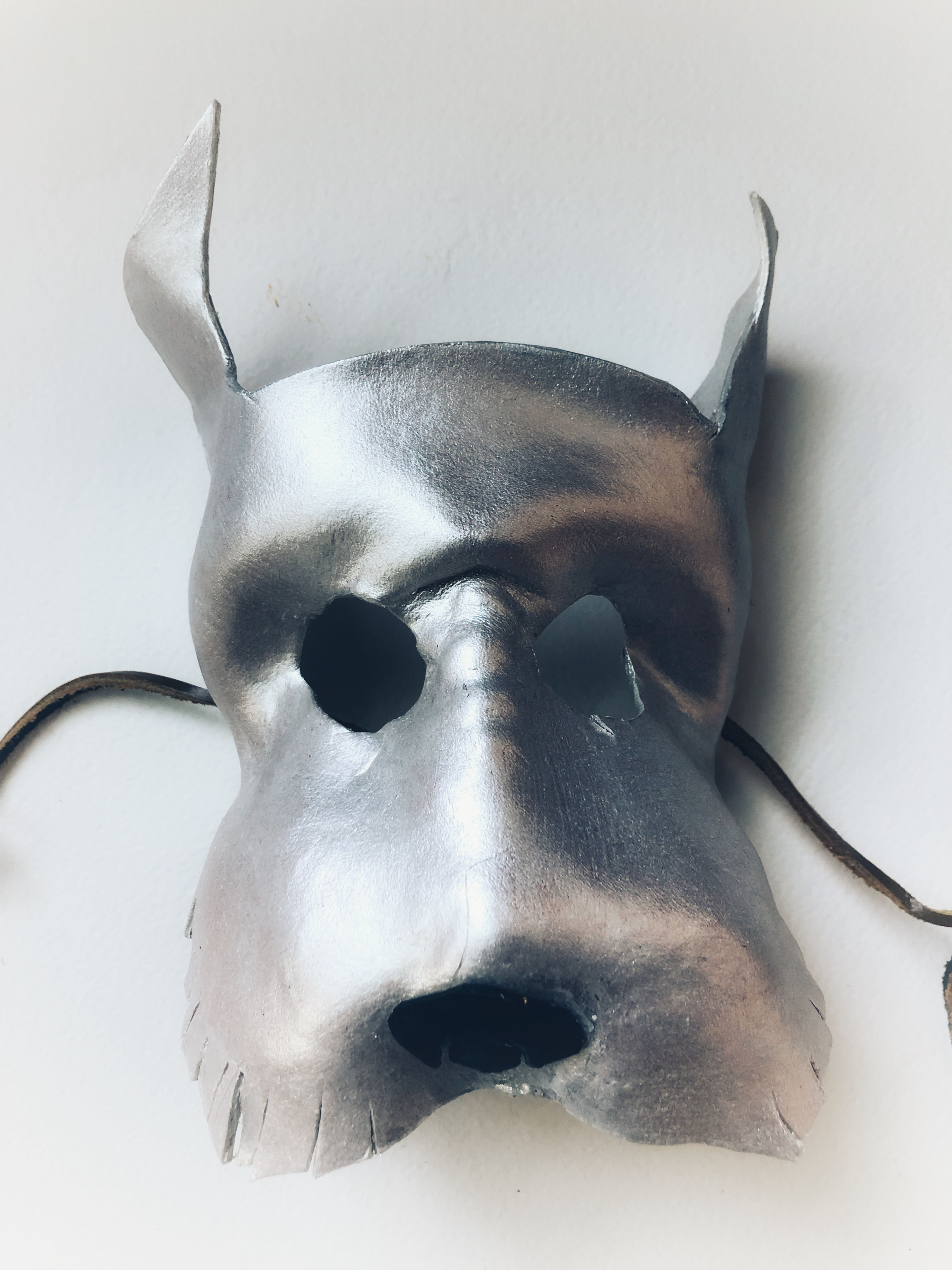 23 - Miniature Schnauzer