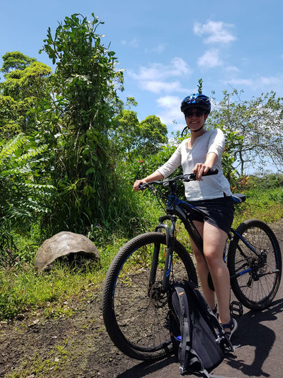 Galapagos Turtles, Galapagos Tortoise, Santa Cruz Turtles, Santa Cruz Tours, Santa Cruz Excursions, Giant Turtles, Giant Tortoises, Galapagos Tours, Galapagos Excursions, Galapagos Cruise Excursions, Santa Cruz Island, Galapagos, Ecuador, Things to do in Santa Cruz, Best tours in Santa Cruz, Best tours in Puerto Ayora, Puerto Ayora tours, Puerto Ayora turtles, Turtle Reserve
