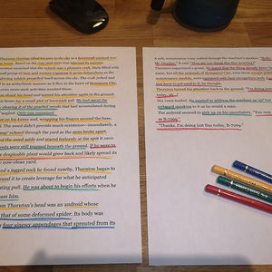 Assignment - A Graphic Short Story